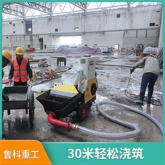 二次結構柱泵專用泵 二次結構柱泵專用泵