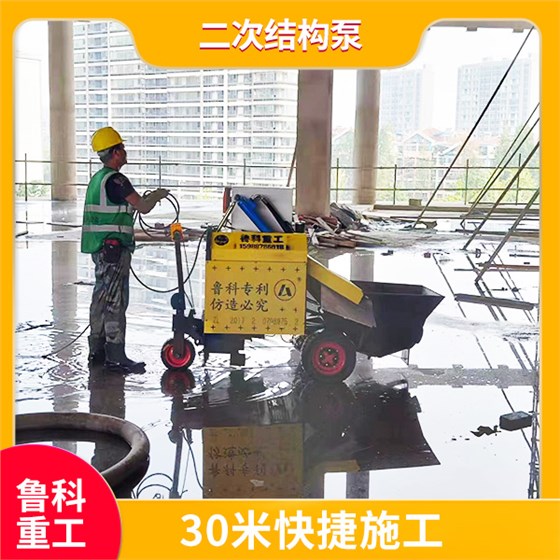 二次細(xì)石輸送泵 二次細(xì)石輸送泵